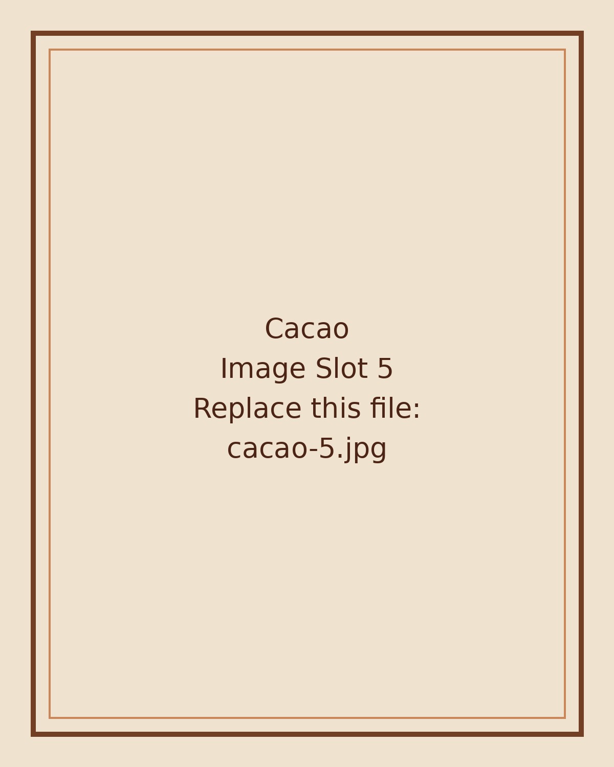 Cacao image 5