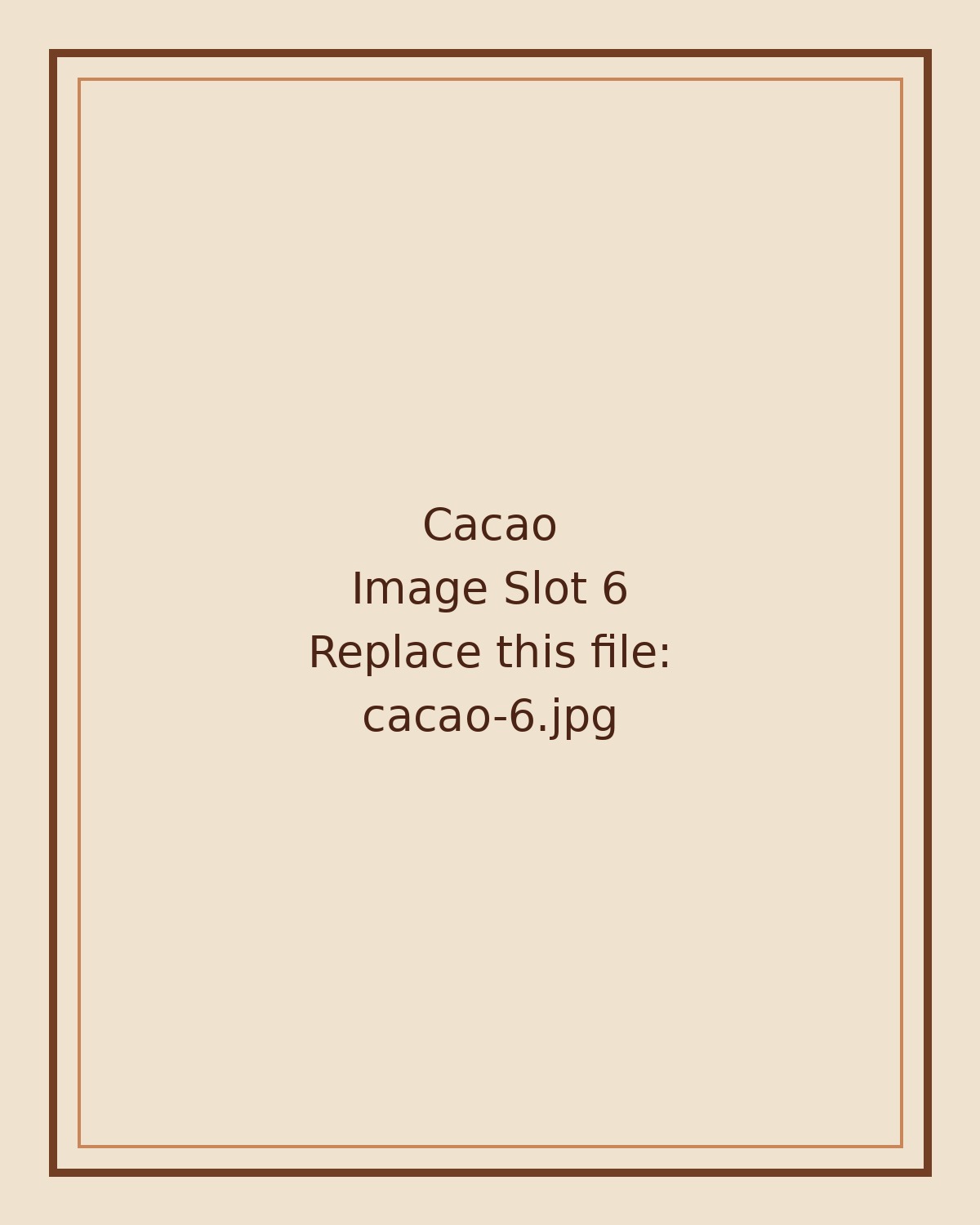 Cacao image 6